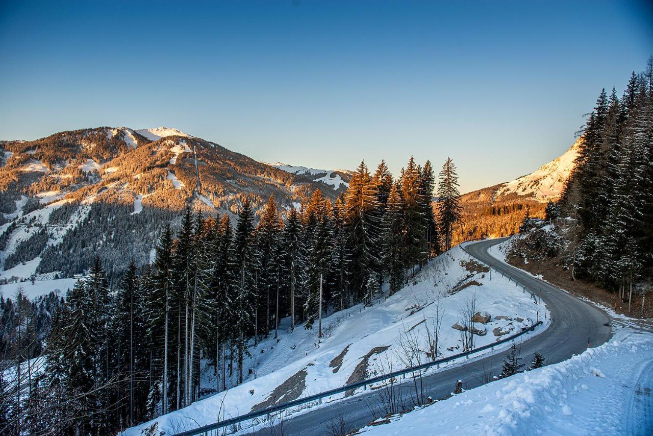 Skyberg Chalet Mühlbach am Hochkönig エクステリア 写真