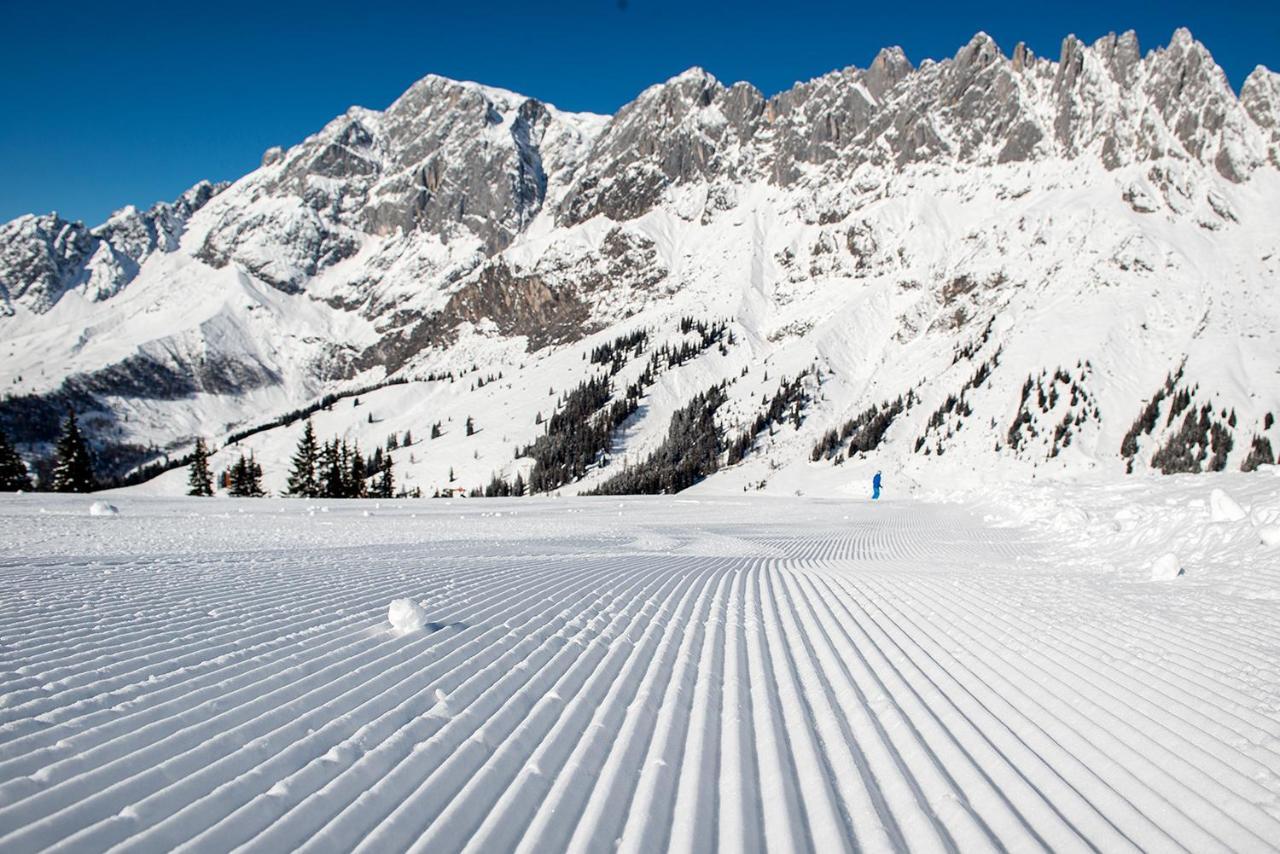 Skyberg Chalet Mühlbach am Hochkönig エクステリア 写真